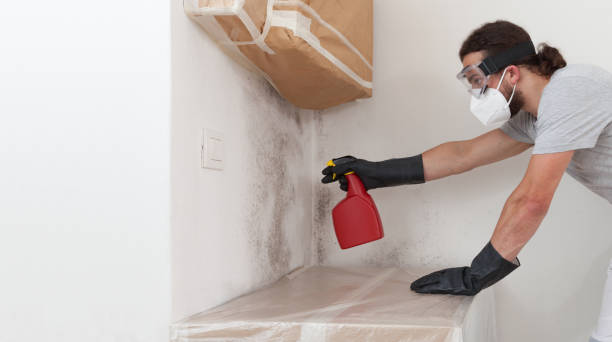 Professional Mold Remediation technician working in Milton, NY